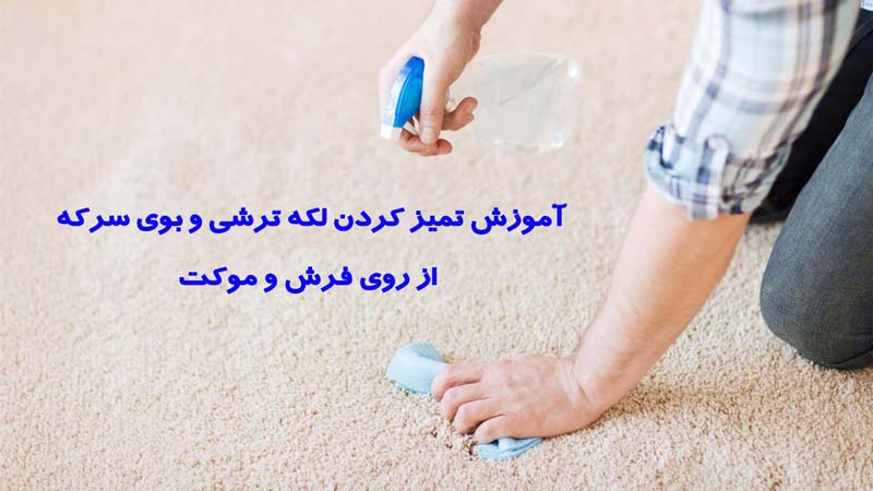 پاک کردن لکه ترشی از فرش 